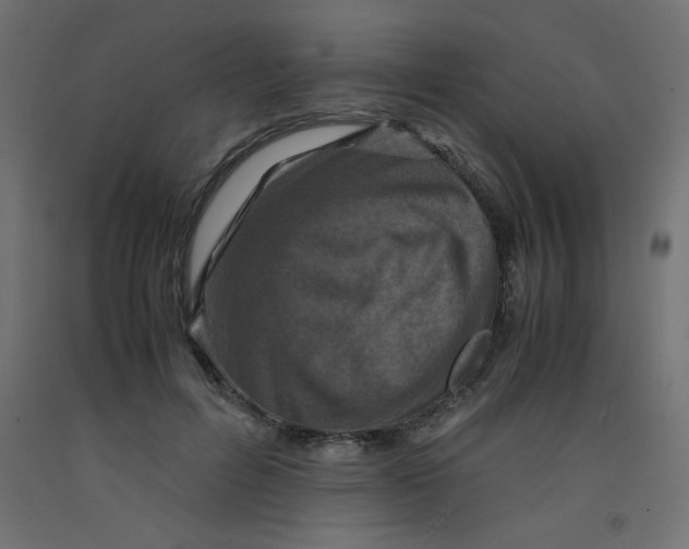 X0000092290600200710121435