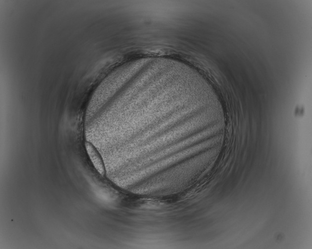 X0000092290601200710121435