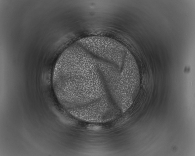 X0000092290602200710121435