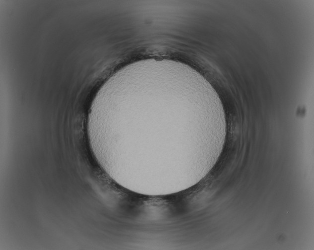 X0000092290603200710121435