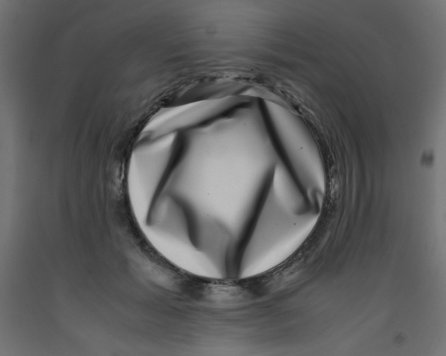 X0000092290605200710121435