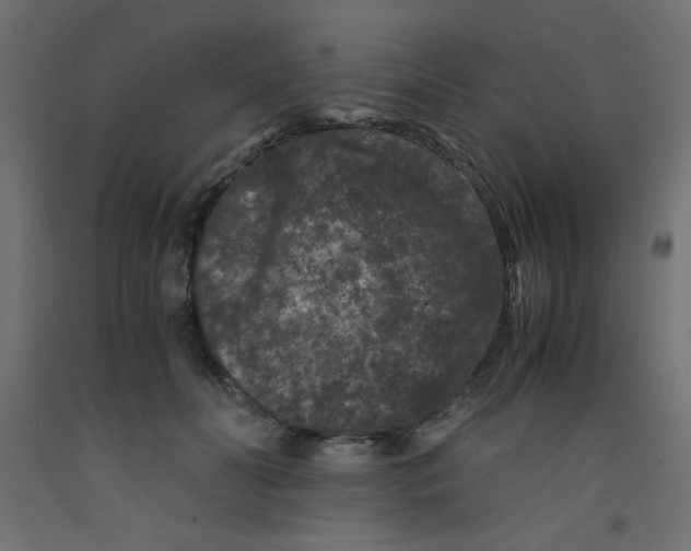 X0000092290606200710121435