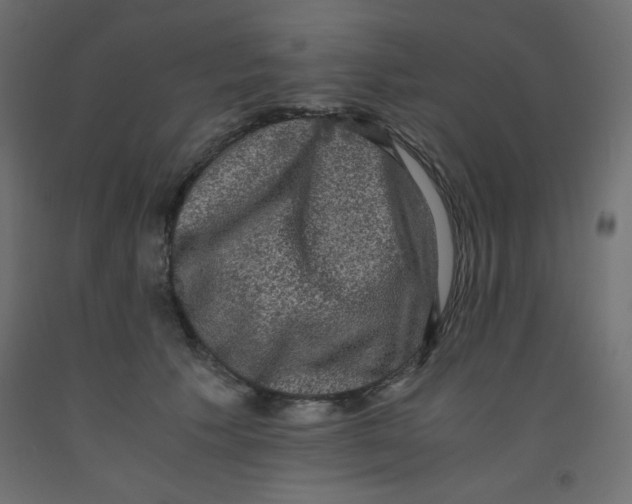 X0000092290609200710121435