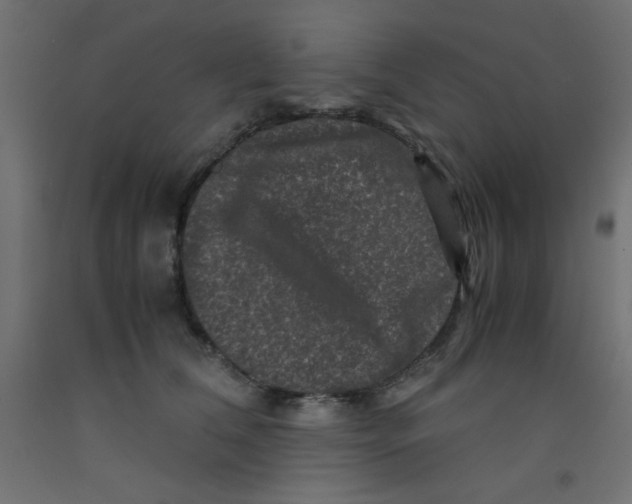 X0000092290612200710121435