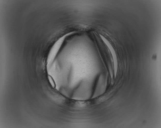 X0000092290613200710121435