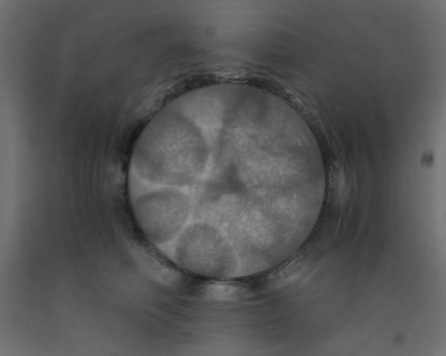 X0000092290614200710121435