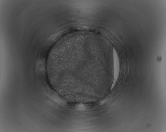 X0000092290616200710121435