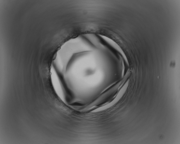 X0000092290617200710121435