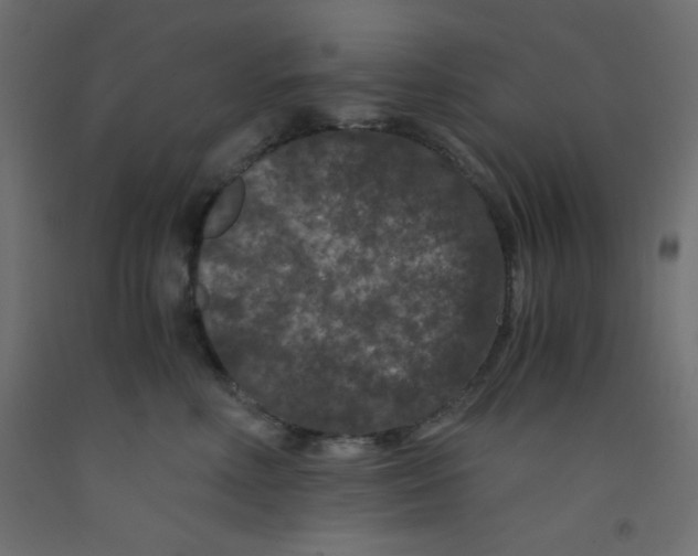 X0000092290618200710121435