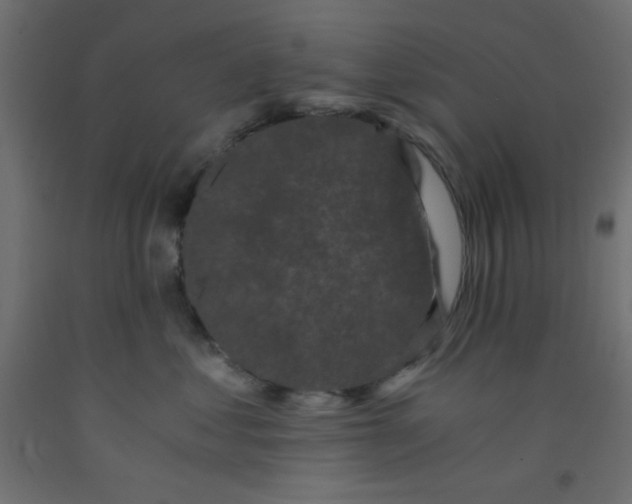 X0000092290621200710121435