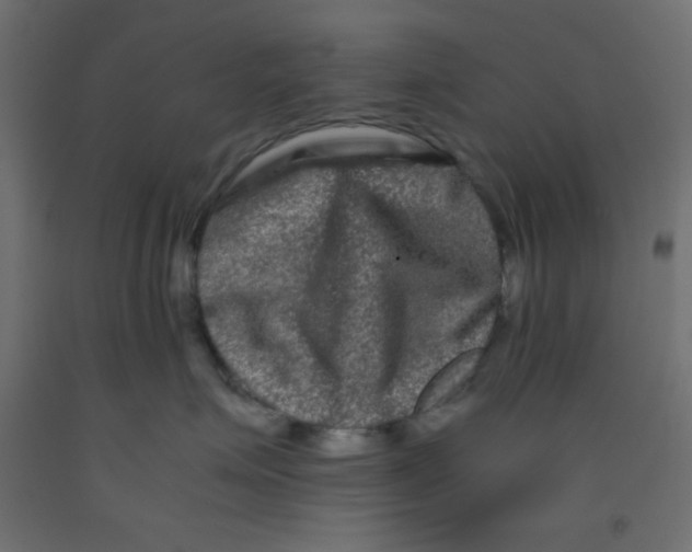 X0000092290623200710121435