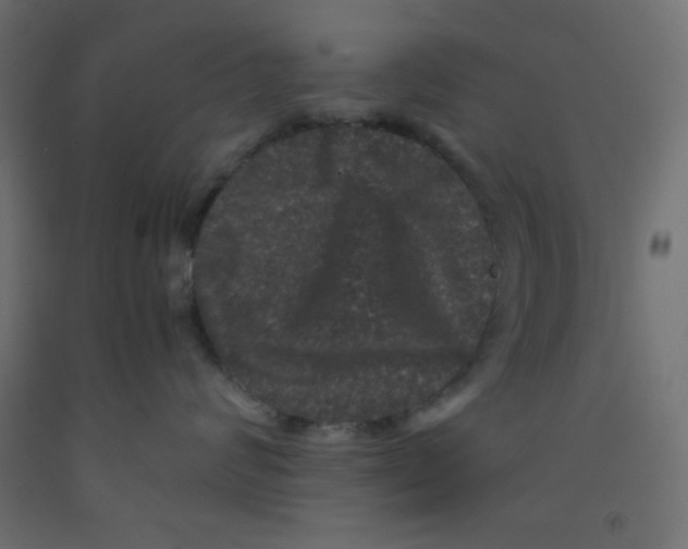 X0000092290624200710121435