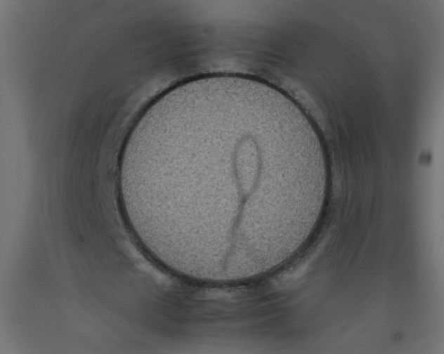 X0000092290625200710121434