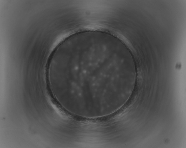 X0000092290626200710121434