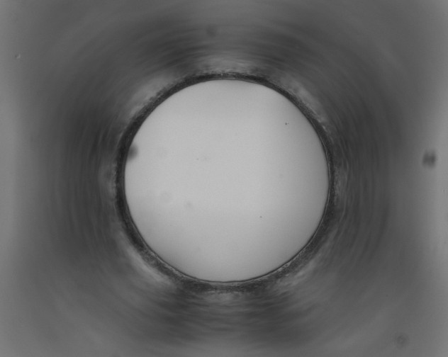 X0000092290629200710121434