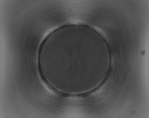 X0000092290630200710121434