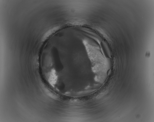 X0000092290634200710121434