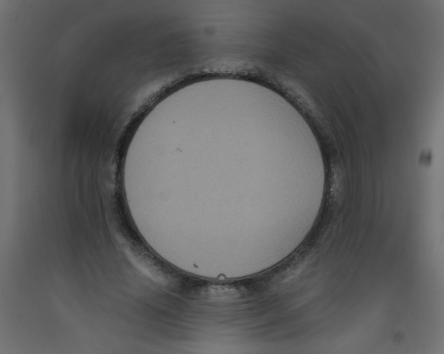 X0000092290636200710121434