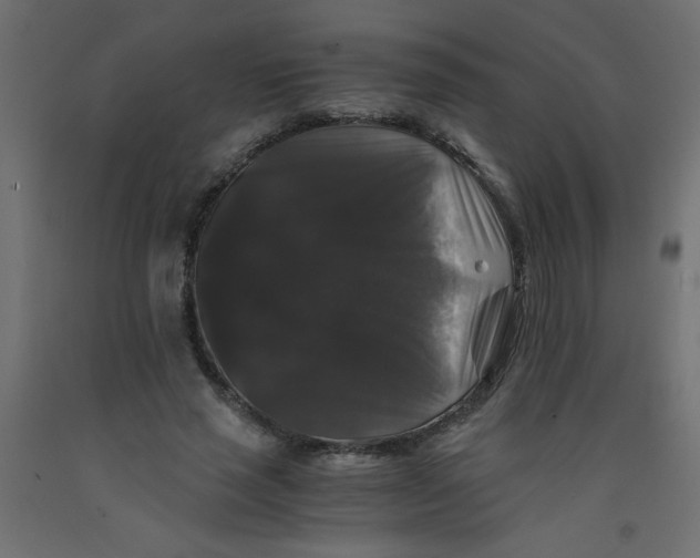 X0000092290637200710121434