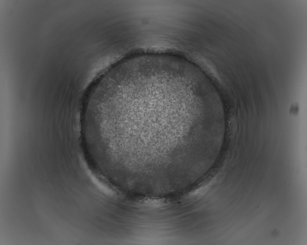 X0000092290638200710121434