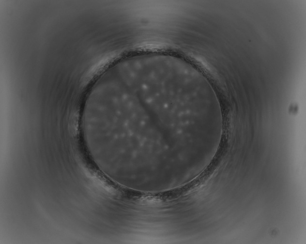 X0000092290640200710121434