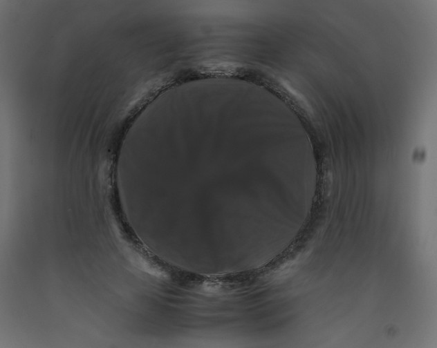 X0000092290641200710121434