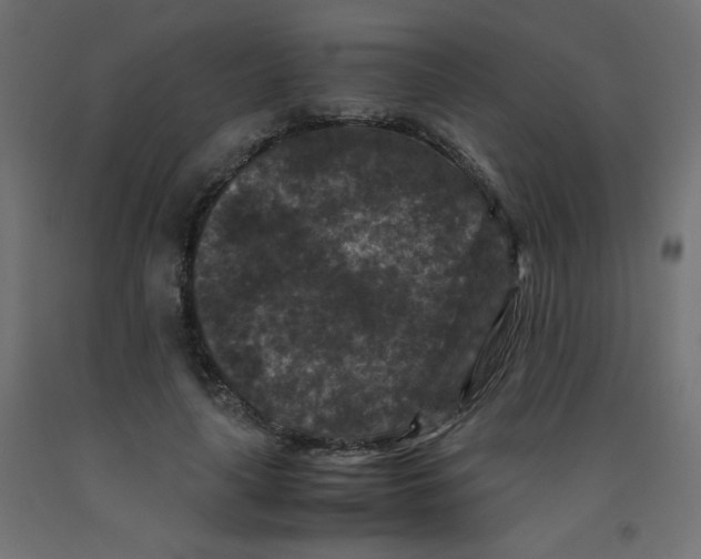 X0000092290643200710121434