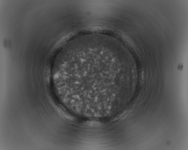 X0000092290644200710121434