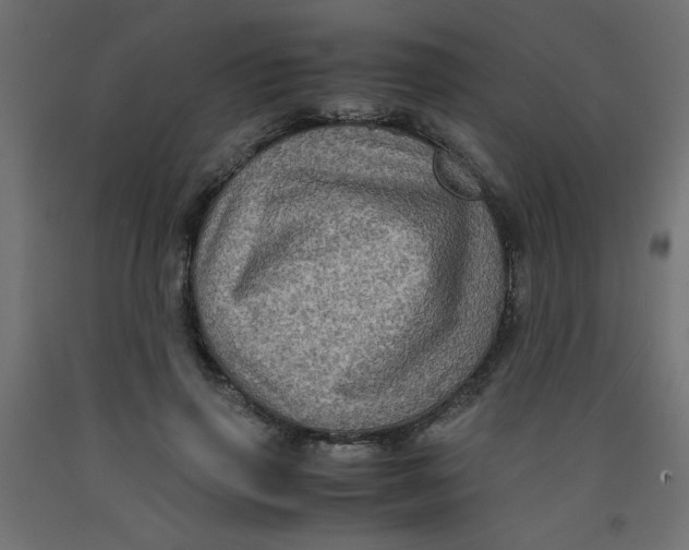 X0000092290645200710121434