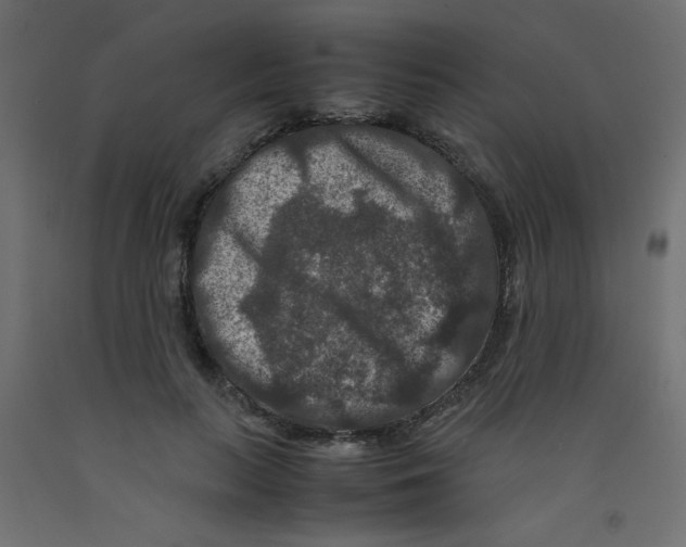 X0000092290647200710121434