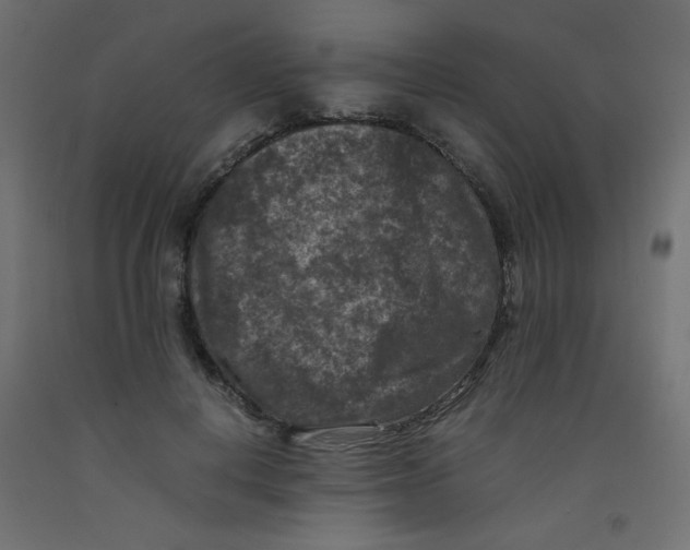 X0000092290648200710121434