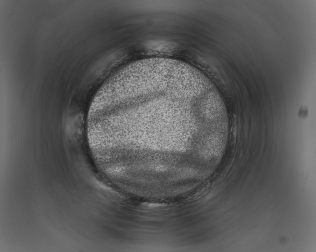 X0000092290649200710121435