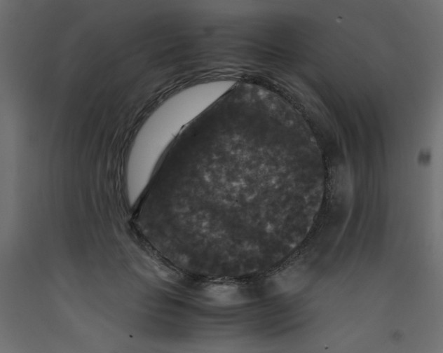 X0000092290653200710121435