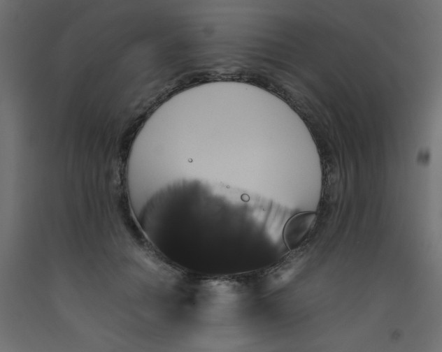 X0000092290654200710121435