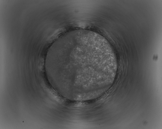 X0000092290656200710121435