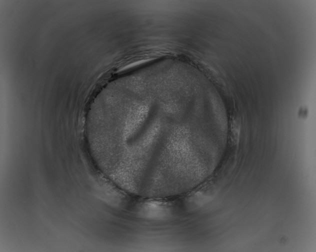 X0000092290657200710121435