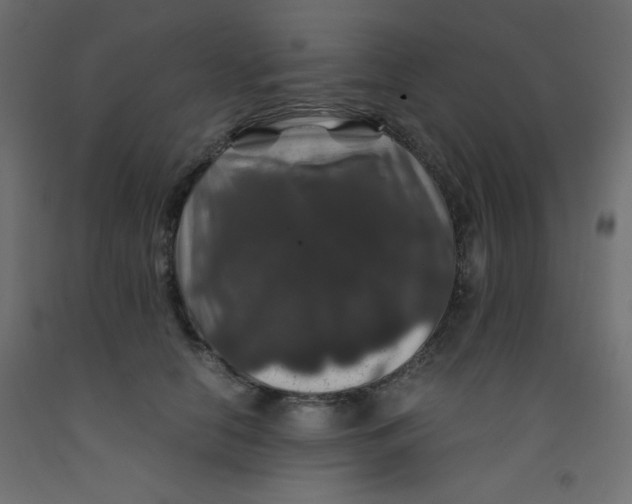 X0000092290658200710121435