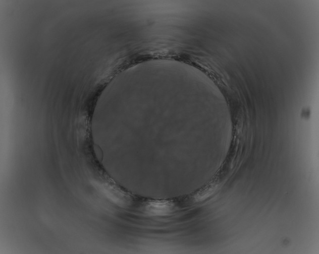 X0000092290659200710121435