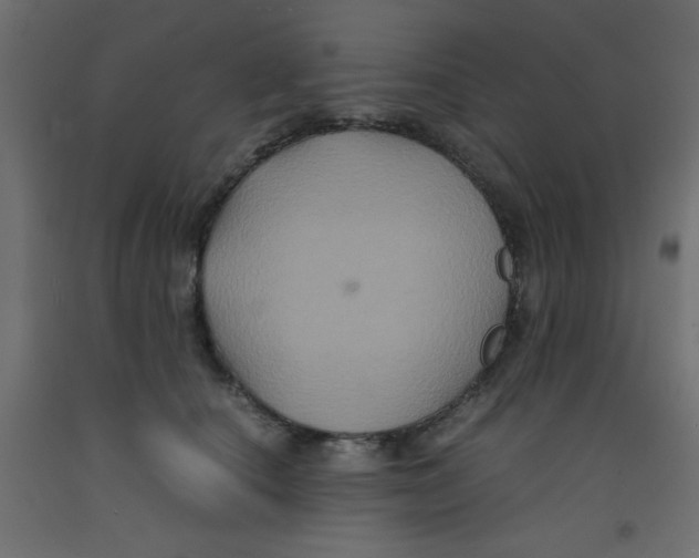 X0000092290660200710121435