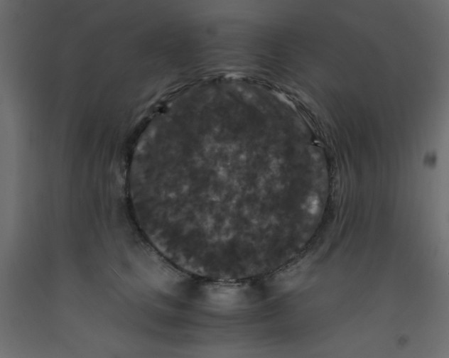 X0000092290661200710121435