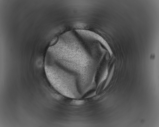 X0000092290665200710121435