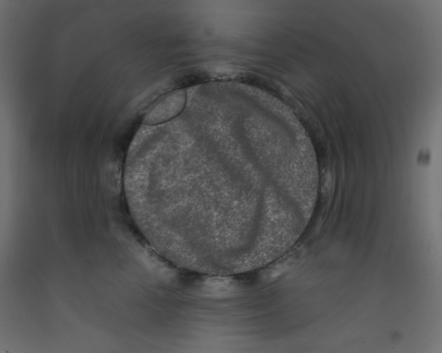 X0000092290666200710121435