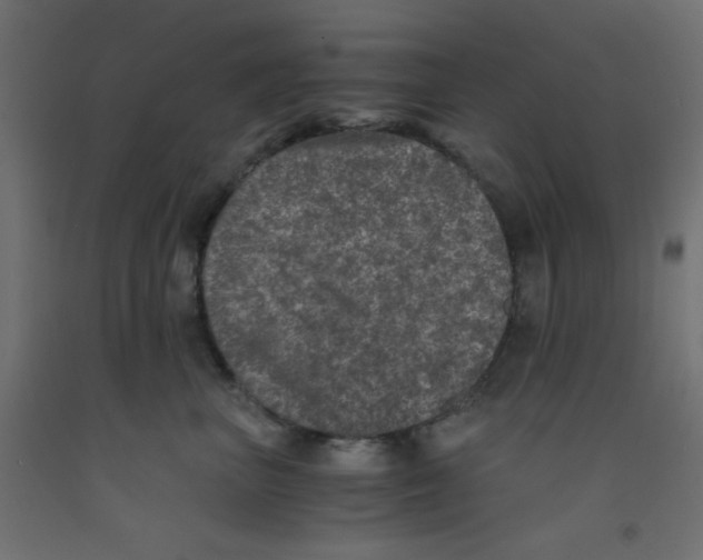 X0000092290667200710121435