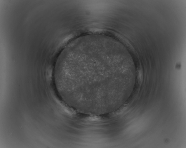 X0000092290668200710121435