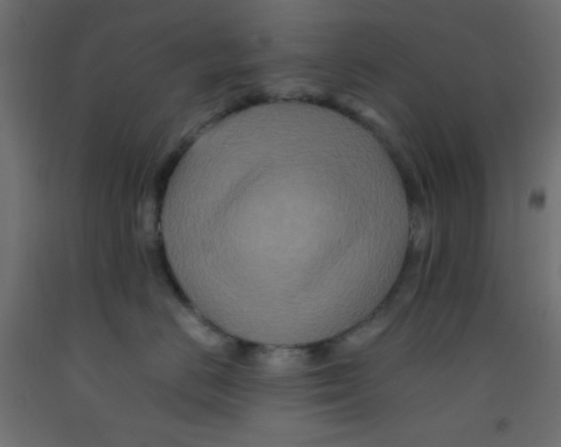 X0000092290670200710121435