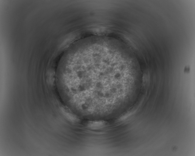 X0000092290671200710121435