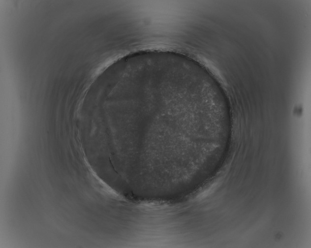 X0000092290673200710121434