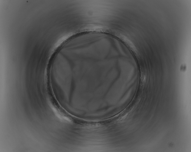 X0000092290674200710121434