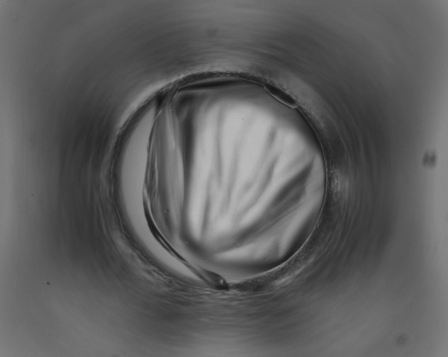 X0000092290676200710121434