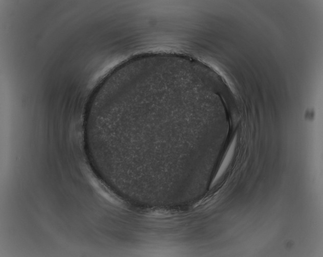 X0000092290677200710121434